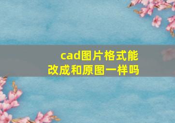 cad图片格式能改成和原图一样吗