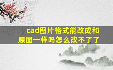 cad图片格式能改成和原图一样吗怎么改不了了