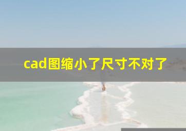 cad图缩小了尺寸不对了