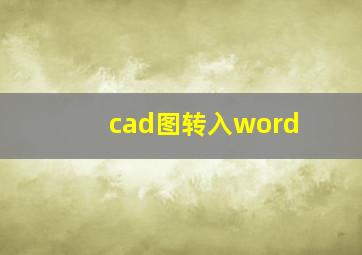 cad图转入word