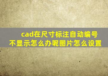 cad在尺寸标注自动编号不显示怎么办呢图片怎么设置