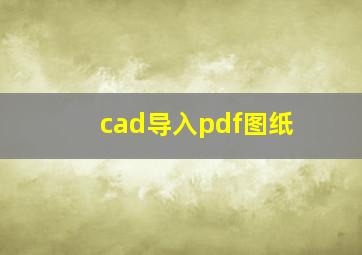 cad导入pdf图纸