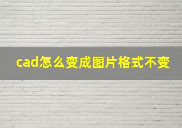 cad怎么变成图片格式不变