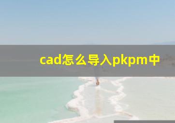 cad怎么导入pkpm中