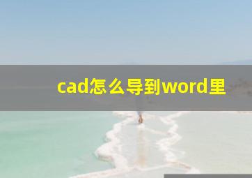 cad怎么导到word里