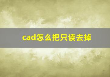 cad怎么把只读去掉