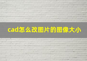 cad怎么改图片的图像大小