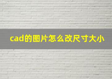 cad的图片怎么改尺寸大小