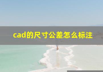 cad的尺寸公差怎么标注