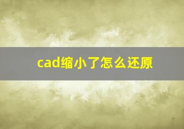 cad缩小了怎么还原