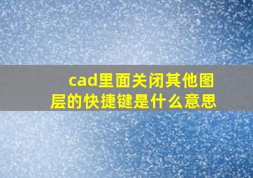 cad里面关闭其他图层的快捷键是什么意思