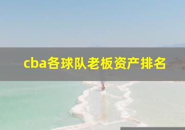 cba各球队老板资产排名