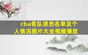 cba各队球员名单及个人情况图片大全视频播放