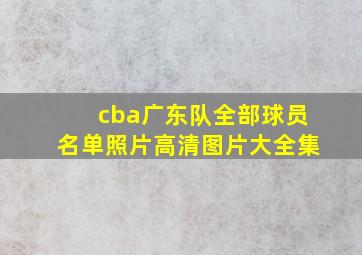 cba广东队全部球员名单照片高清图片大全集