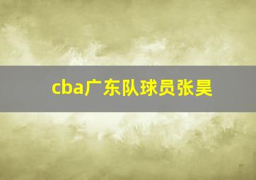 cba广东队球员张昊