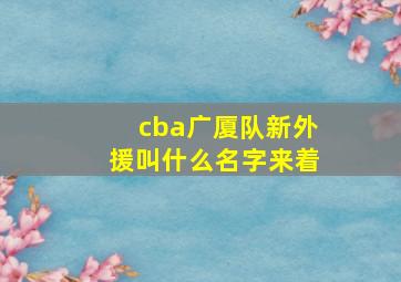 cba广厦队新外援叫什么名字来着