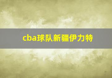 cba球队新疆伊力特