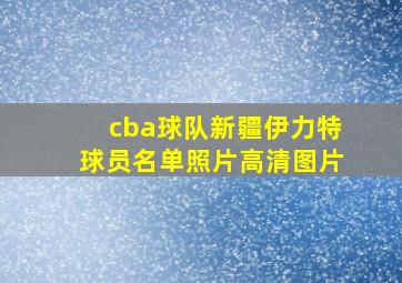 cba球队新疆伊力特球员名单照片高清图片