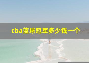 cba篮球冠军多少钱一个