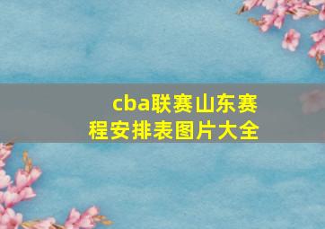 cba联赛山东赛程安排表图片大全