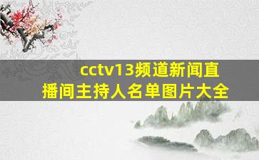 cctv13频道新闻直播间主持人名单图片大全