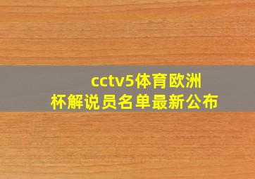 cctv5体育欧洲杯解说员名单最新公布