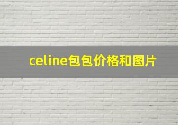 celine包包价格和图片