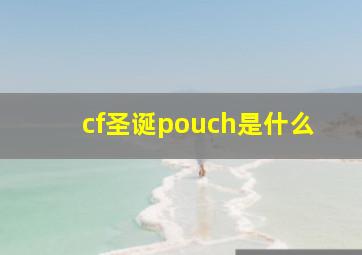 cf圣诞pouch是什么