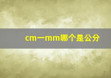 cm一mm哪个是公分