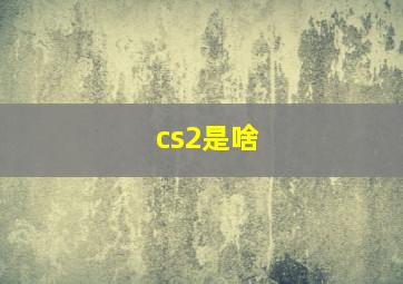 cs2是啥