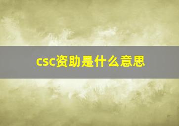 csc资助是什么意思