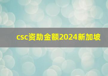 csc资助金额2024新加坡