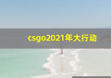 csgo2021年大行动