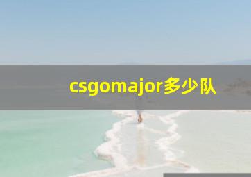 csgomajor多少队