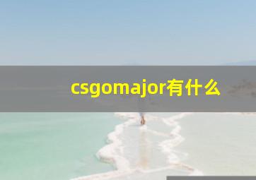 csgomajor有什么