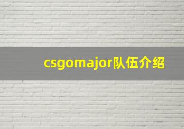 csgomajor队伍介绍