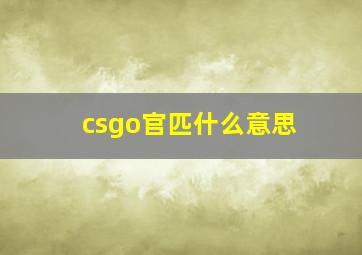 csgo官匹什么意思