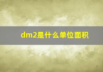 dm2是什么单位面积