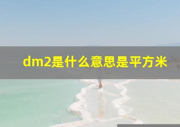 dm2是什么意思是平方米