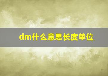 dm什么意思长度单位