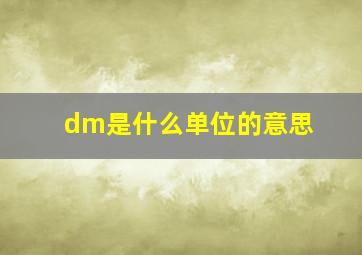 dm是什么单位的意思