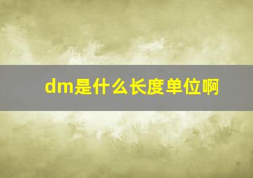 dm是什么长度单位啊