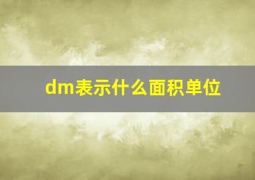 dm表示什么面积单位