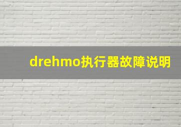 drehmo执行器故障说明