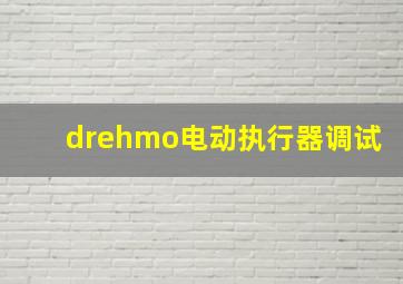 drehmo电动执行器调试