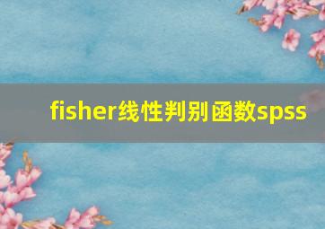 fisher线性判别函数spss