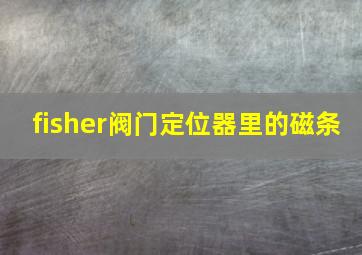 fisher阀门定位器里的磁条