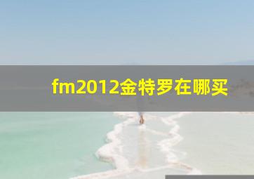 fm2012金特罗在哪买