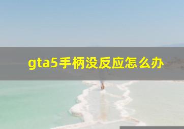 gta5手柄没反应怎么办