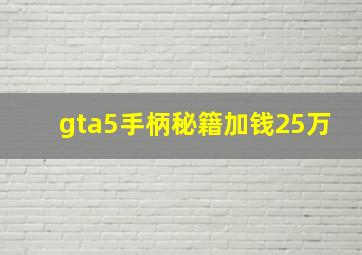 gta5手柄秘籍加钱25万